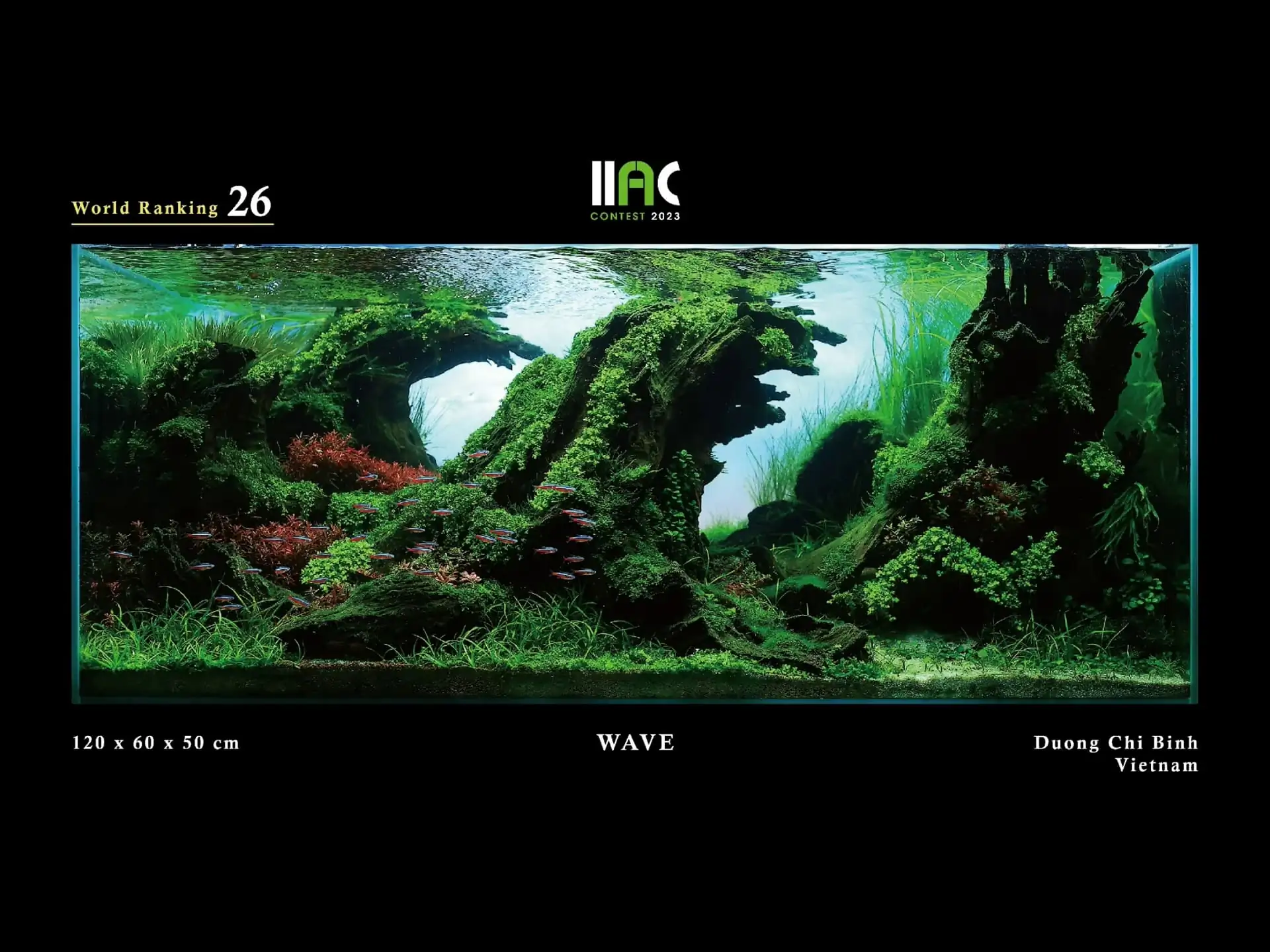 WAVE - IIAC 2023 #26 Duong Chi Binh / Vietnam